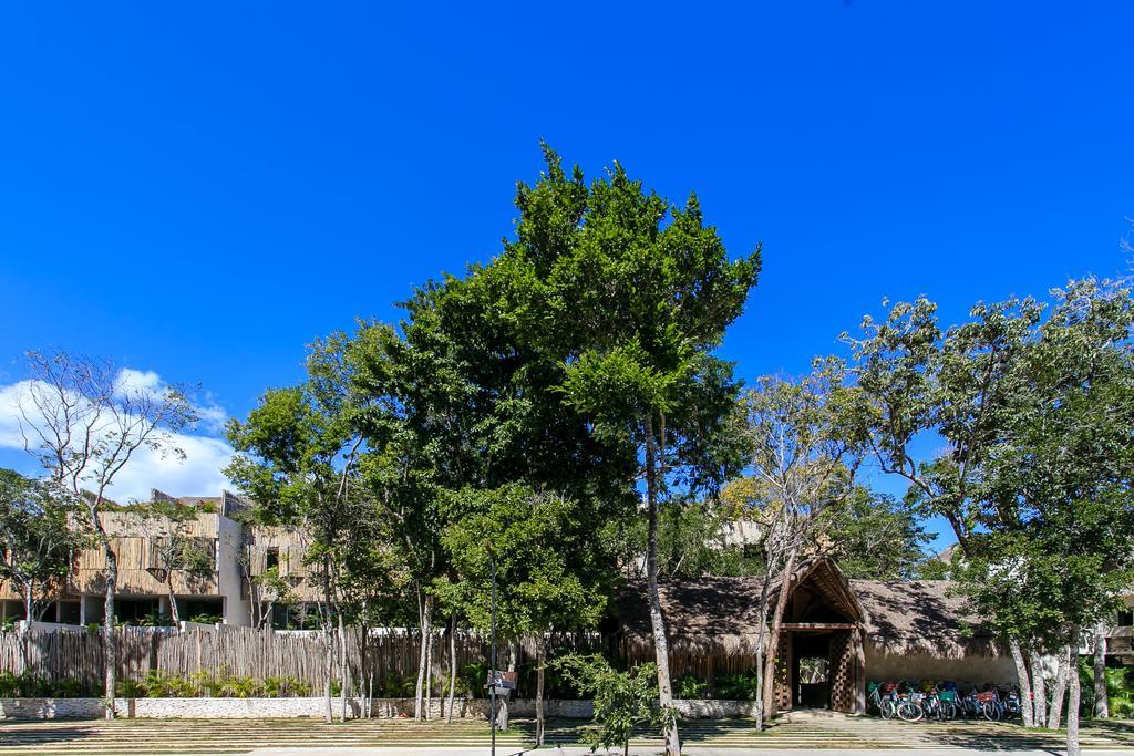 Eco-Chic Design Condos Wrapped In Nature'S Elements By Stella Rentals Tulum Exteriör bild